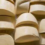 Parmesão mineiro? Conheça a história do Queijo Artesanal do Vale do Suaçuí