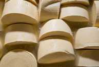 Parmesão mineiro? Conheça a história do Queijo Artesanal do Vale do Suaçuí
