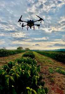 Estudo vale para pequenos, médios e grandes produtores e busca entender as dificuldades para digitalizar o campo.