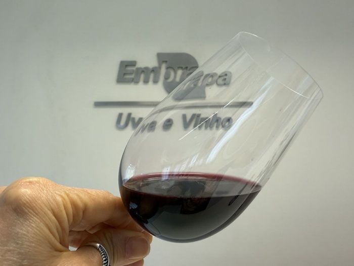 Sucos e vinhos elaborados com a BRS Lis apresentam acidez equilibrada