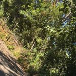 Polícia Civil localiza corpo de jovem desaparecida em Extrema