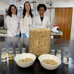 Pesquisas da UFLA usam óleos essenciais para conservar alimentos