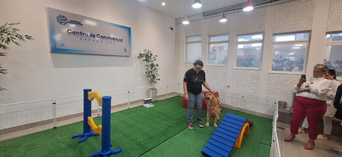 Vicentinho, o cão que vive no Lar São Vicente, inaugurou o espaço pet.