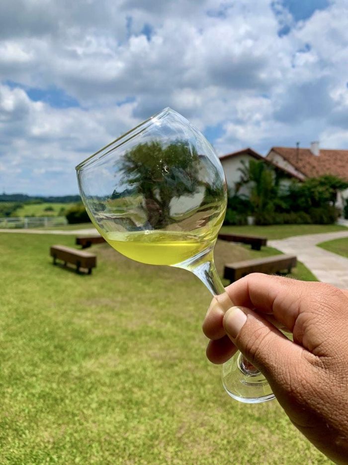 Azeite Estância das Oliveiras 