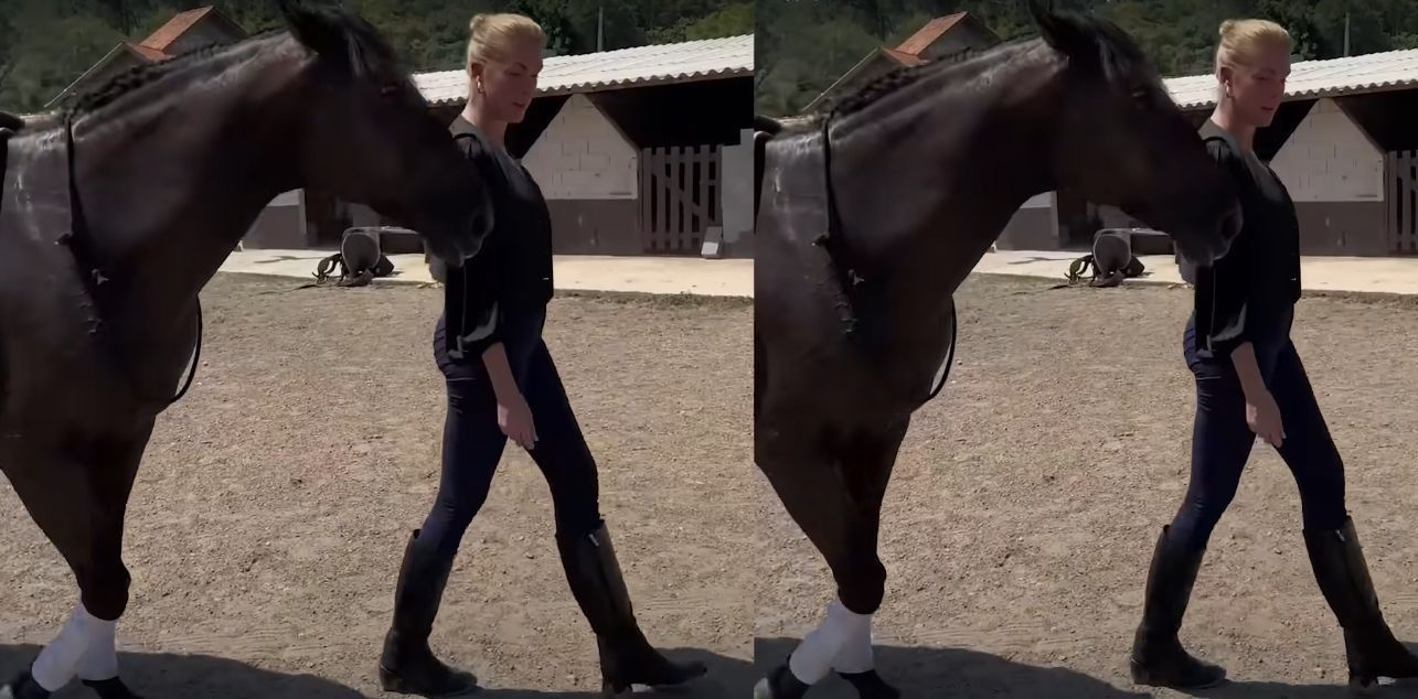 Edu Guedes presenteia Ana Hickmann com cavalo puro-sangue Lusitano; veja fotos