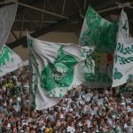 Palmeiras vai à CBF por presença de torcida em jogo contra o Cruzeiro no Mineirão