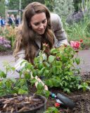 Kate Middleton em visita à Hospital