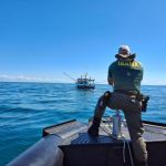 Ibama reforça proibição de pesca de camarão durante período de defeso