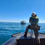 Ibama reforça proibição de pesca de camarão durante período de defeso