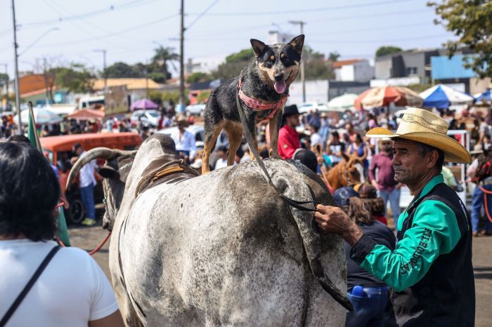Festa costuma ser bastante democrática, aberta à participação de todos