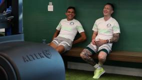 Palmeiras se reapresenta para temporada 2024 na Academia de Futebol para exames médicos e testes físicos