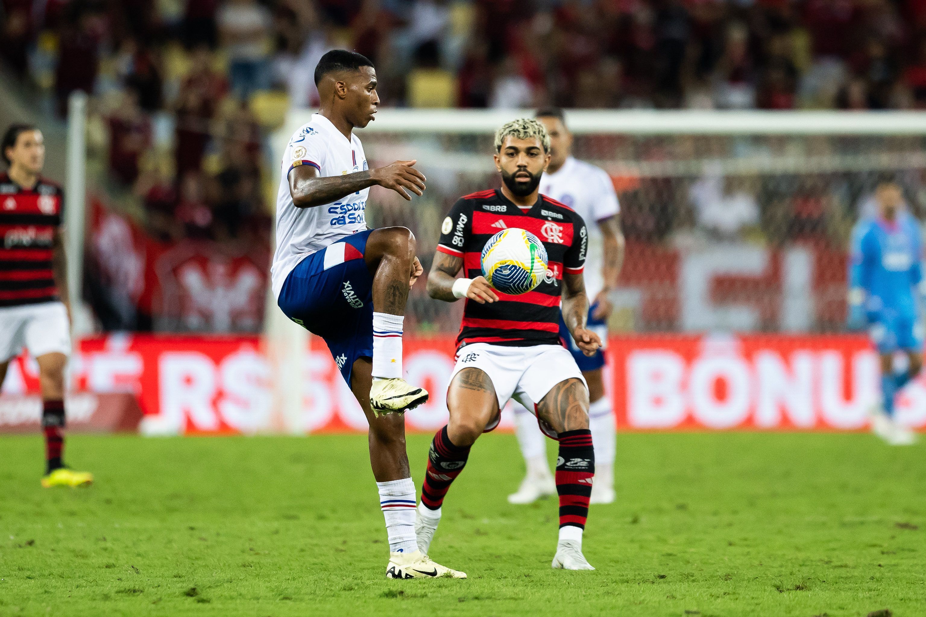 Bahia x Flamengo: horário e onde assistir ao vivo pelo Brasileirão