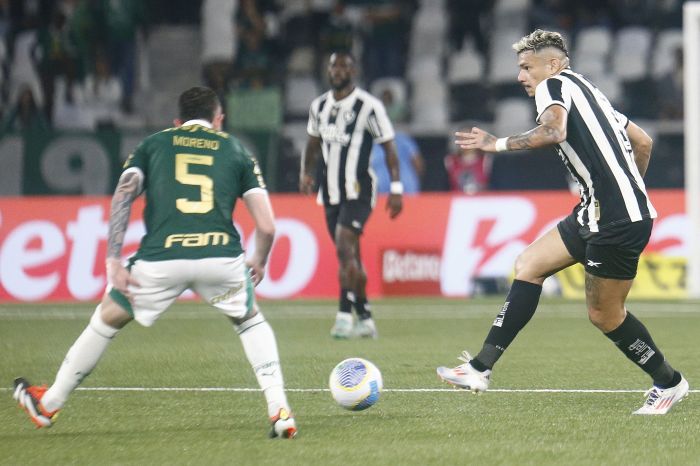Moreno, do Palmeiras, e Tiquinho Soares, do Botafogo, durante jogo do Campeonato Brasileiro