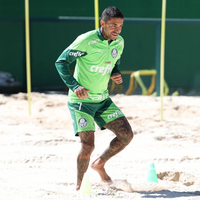 Dudu, do Palmeiras, inicia recuperação de lesão na panturrilha