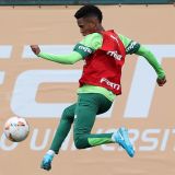 Treino do Palmeiras: Estevão, Felipe Anderson e Zé Rafael trabalham antes de encarar Botafogo pela Libertadores