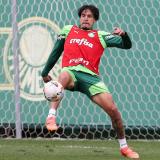 Treino do Palmeiras: Estevão, Felipe Anderson e Zé Rafael trabalham antes de encarar Botafogo pela Libertadores