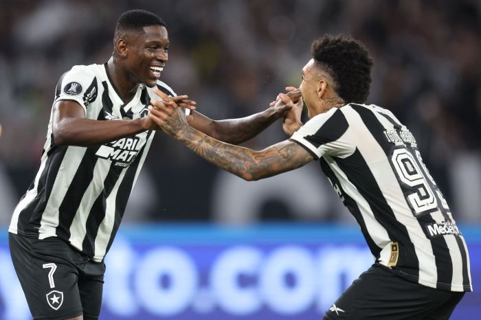 Luiz Henrique e Igor Jesus balançaram as redes para o Botafogo contra o Palmeiras