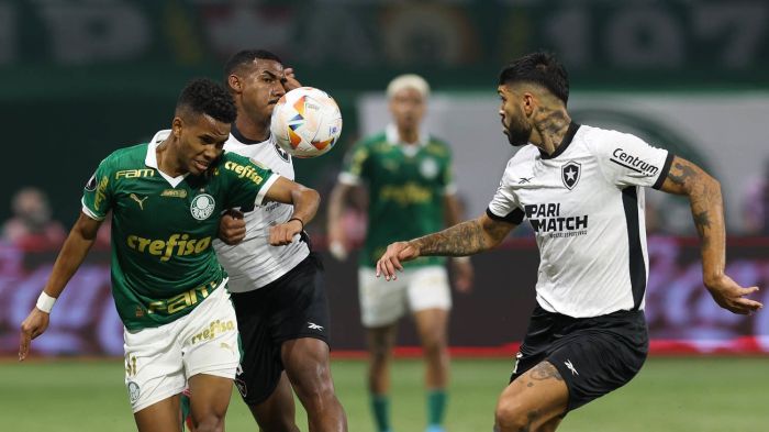 Palmeiras foi eliminado para o Botafogo nas oitavas da Libertadores 2024