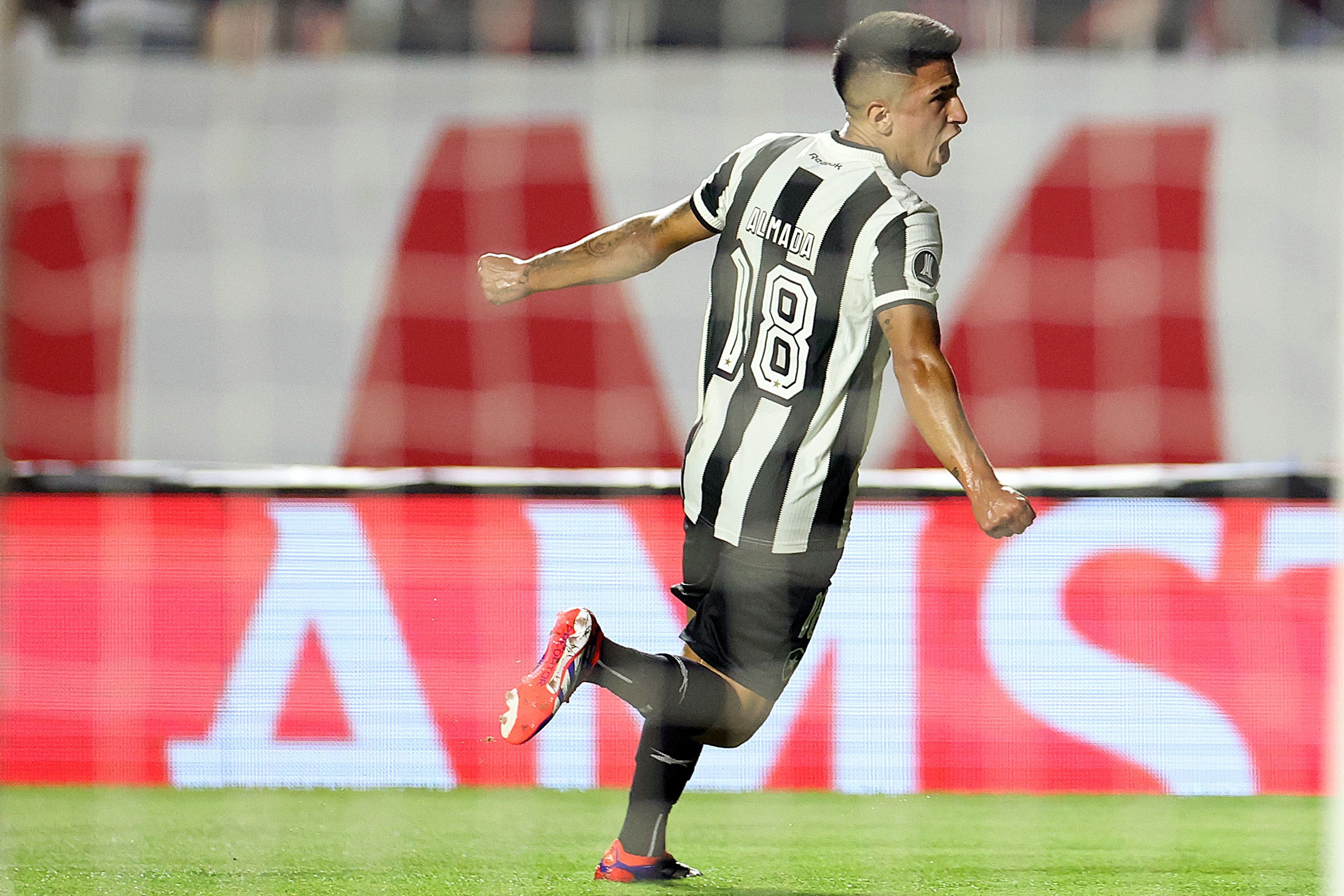Botafogo supera R$ 50 milhões em premiação na Libertadores; saiba mais