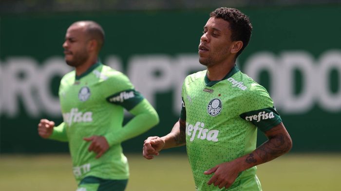 Marcos Rocha e Mayke trabalharam no gramado nesta terça-feira, na Academia de Futebol do Palmeiras