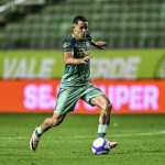 Ex-Cruzeiro e América, volante Wallisson é anunciado por novo clube