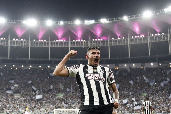 Tiquinho Soares vibra com gol marcado pelo Botafogo contra o Criciúma