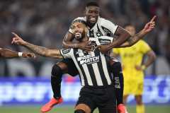 Botafogo goleia o Peñarol