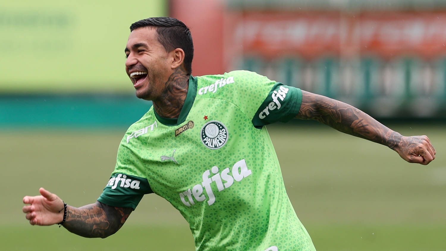 Cruzeiro volta a negociar com Dudu, do Palmeiras