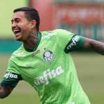 Cruzeiro volta a negociar com Dudu, do Palmeiras