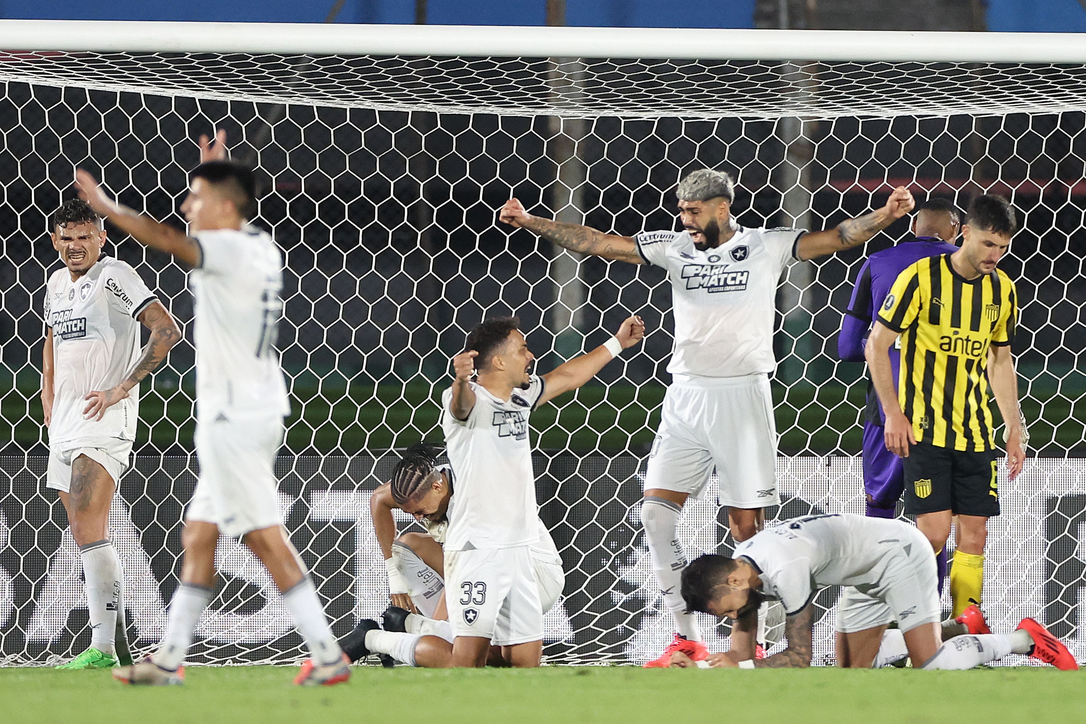 'Dado como morto', Botafogo derruba campeões em série e chega à final inédita de Libertadores