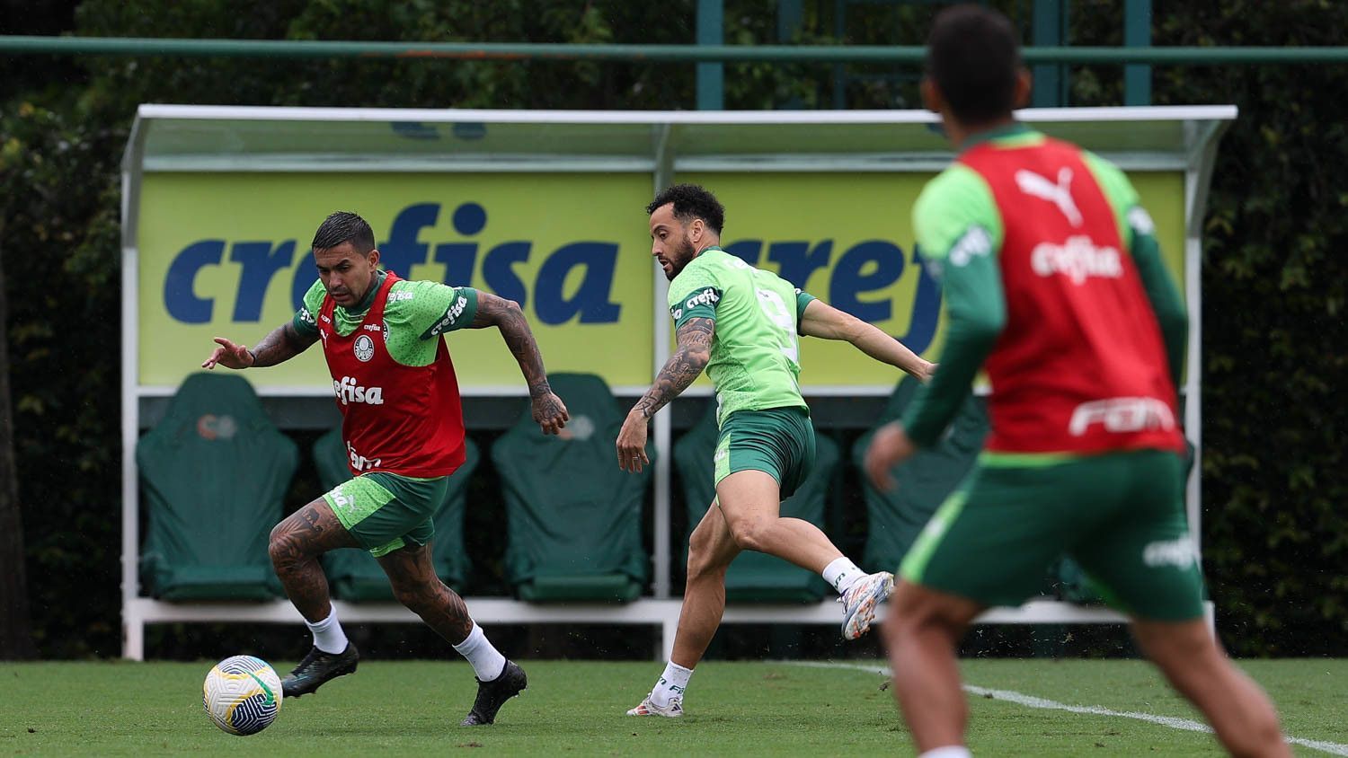 Escalação do Palmeiras: Dudu pode voltar ao time contra o Grêmio