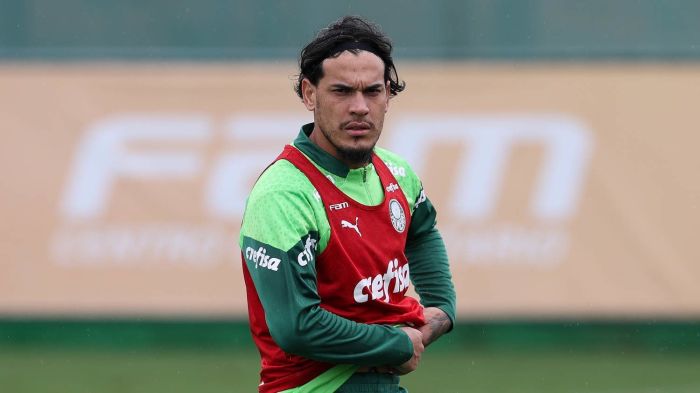 Gómez quer Palmeiras com muita intensidade contra o Grêmio