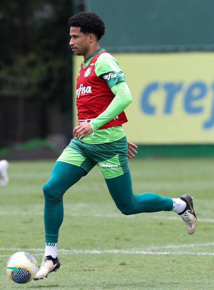 Zagueiro Murilo teve contusão contra o Bahia