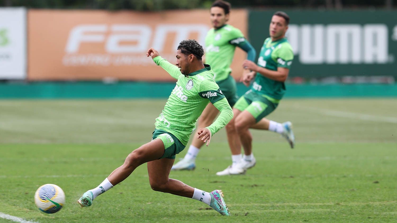 Palmeiras treina variações táticas e busca substituto de Estêvão para enfrentar o Bahia