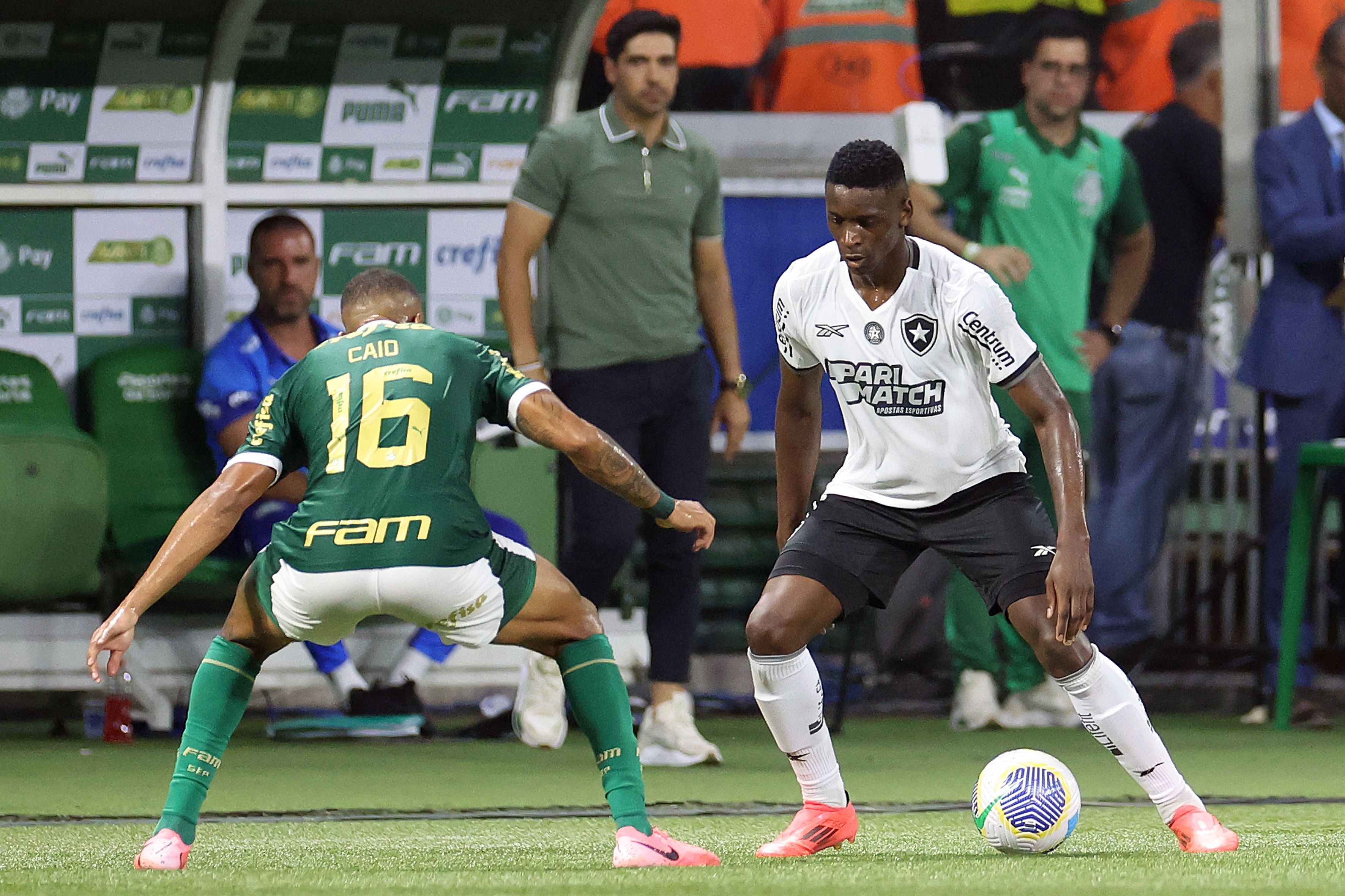 Palmeiras 1x3 Botafogo: veja gols e melhores momentos de jogo pelo Brasileirão