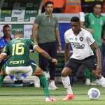 Palmeiras 1x3 Botafogo: veja gols e melhores momentos de jogo pelo Brasileirão