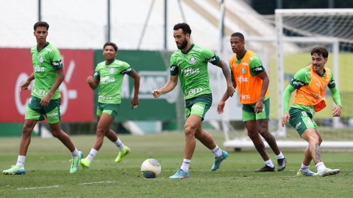 Treino dos jogadores do Palmeiras no último domingo (1)