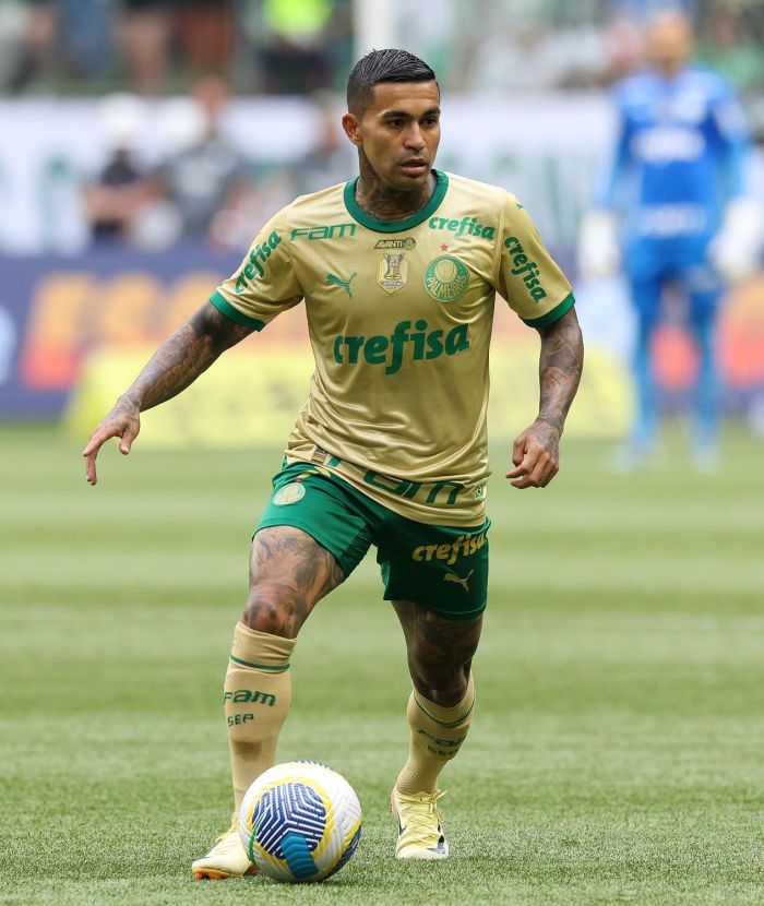 Dudu fez seu último jogo no último domingo (8), contra o Cruzeiro Dudu fez seu último jogo no último domingo (8), contra o Cruzeiro