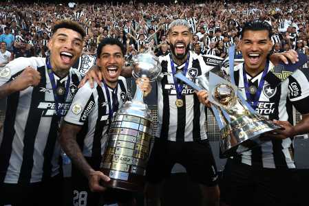 Botafogo ergue a taça de campeão brasileiro de 2024; veja fotos