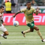 Palmeiras 0x1 Fluminense: veja os melhores momentos da partida