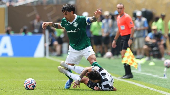 Gómez acabou expulso na prorrogação do jogo contra o Botafogo Gómez acabou expulso na prorrogação do jogo contra o Botafogo