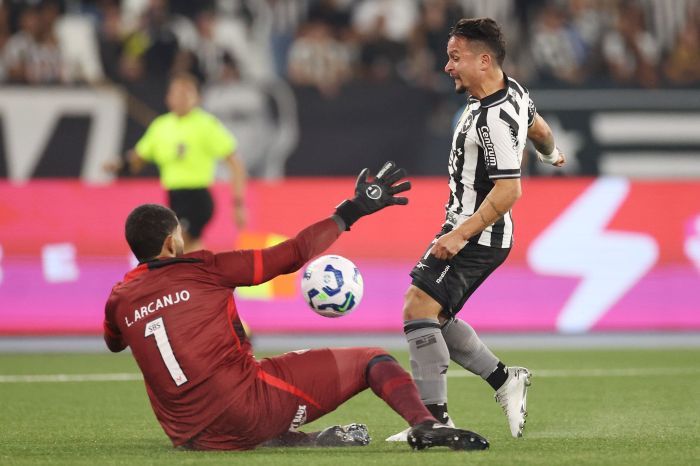 Botafogo x Vitória: equipes se enfrentam no Rio de Janeiro, nesta quarta (16), pela 14ª rodada da Série A do Brasileirão