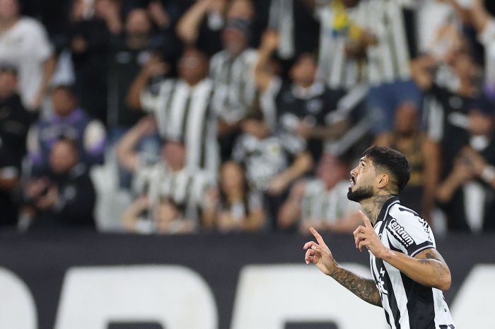 Barboza vibra com gol marcado pelo Botafogo no Nilton Santos