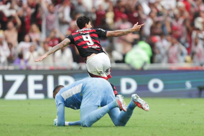 Flamengo x Palmeiras: Pedro comemora no Maracanã enquanto Carlos Miguel se lamenta