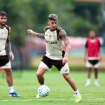 Brasileirão: Flamengo conta com retornos da Data Fifa a partir desta terça