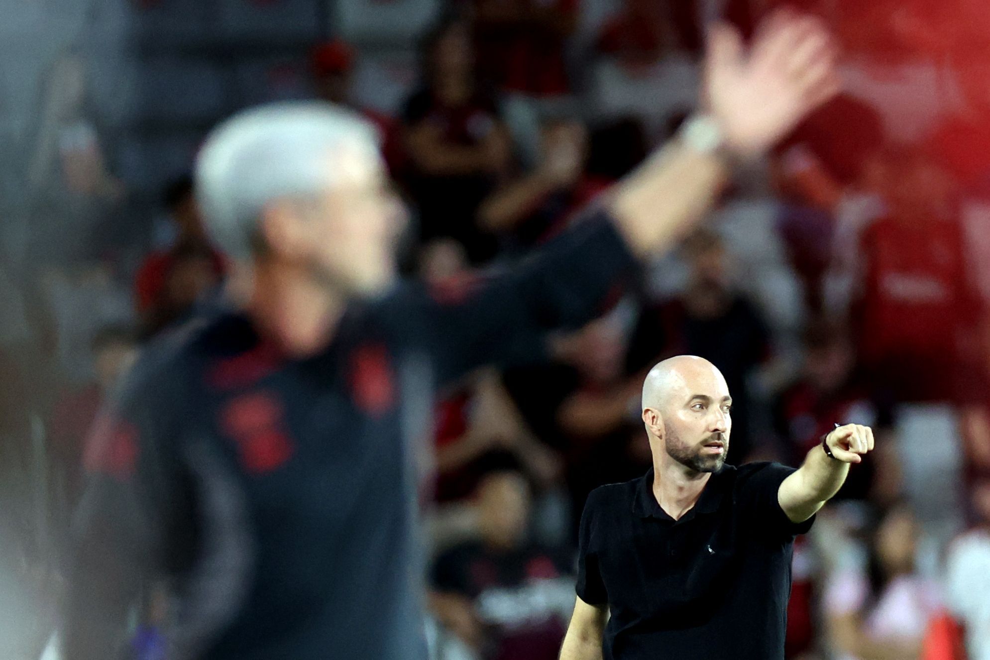 Técnico interino avalia cenário do Botafogo: 'Questões externas não afetam'