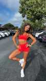 Alma Cooper, Miss Universe EUA 2024
