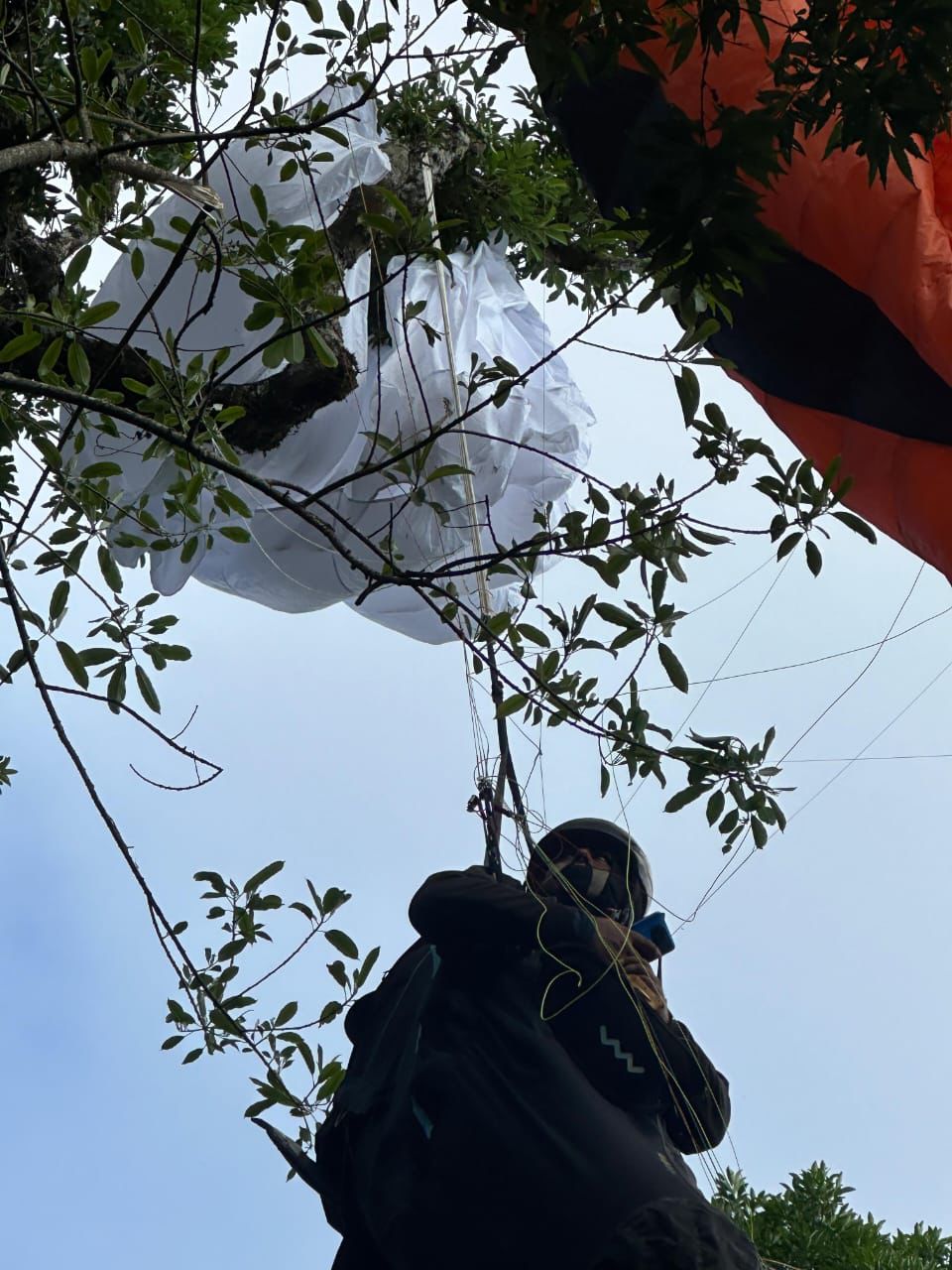 Praticante de paraglider fica preso em árvore no Pico do Gavião