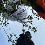 Praticante de paraglider fica preso em árvore no Pico do Gavião