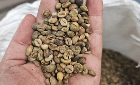 Veja fotos da operação no RJ de café impróprio